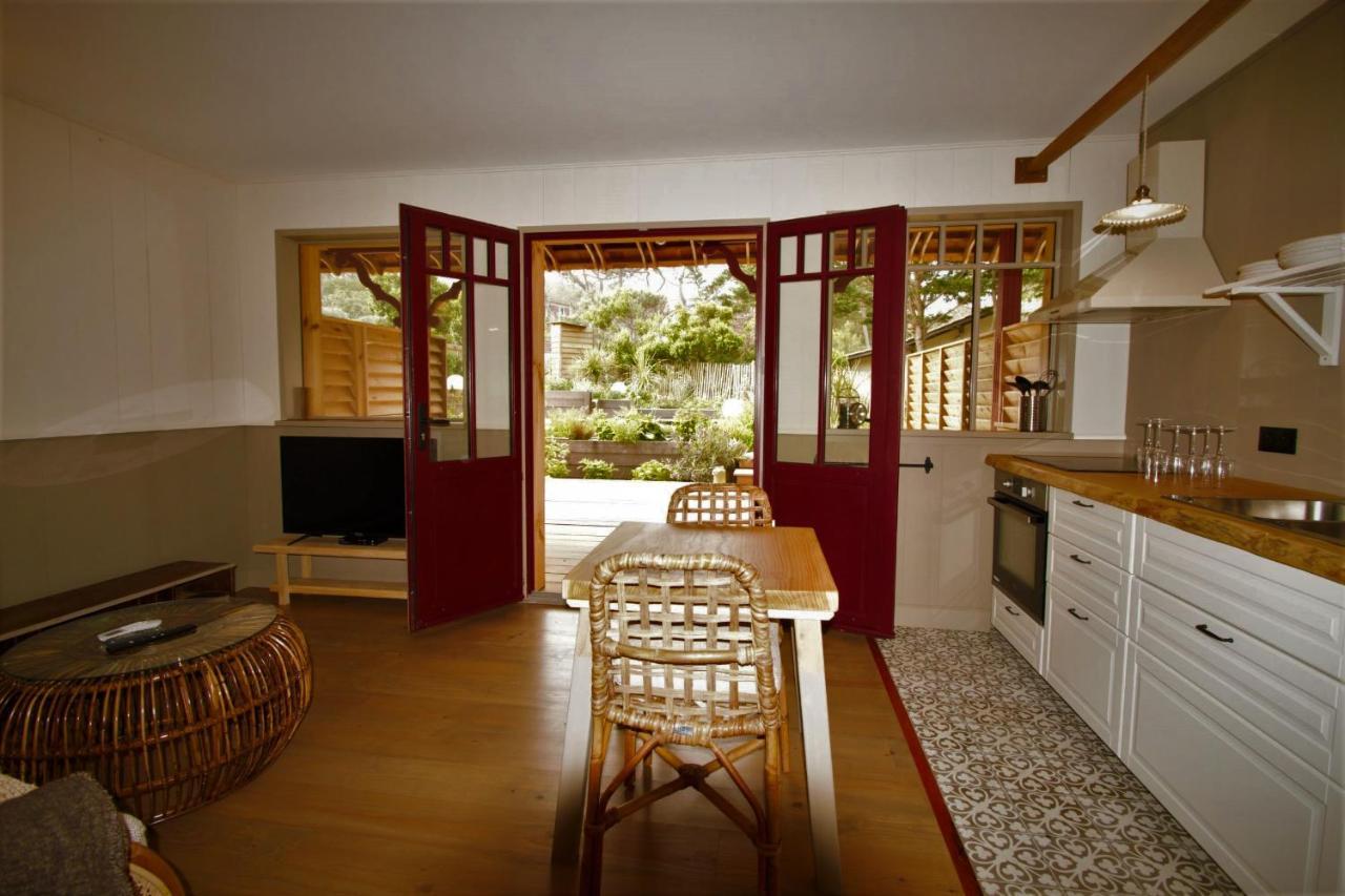 Les Jardins De La Sud Apartamento Lacanau Exterior foto